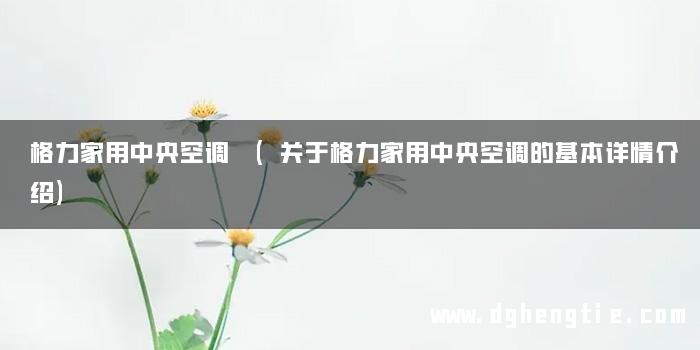 格力家用中央空调 (关于格力家用中央空调的基本详情介绍)